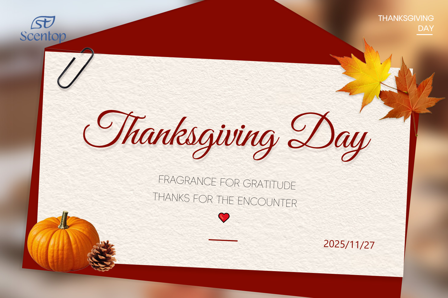 Scentop Thanksgiving day